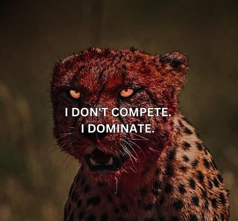 Dear Son. tweet media