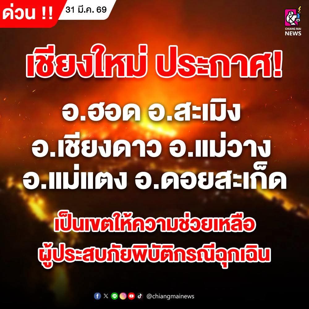 Chiang Mai News tweet media