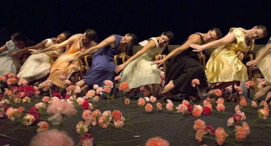 Christophe Vd Impe tweet media