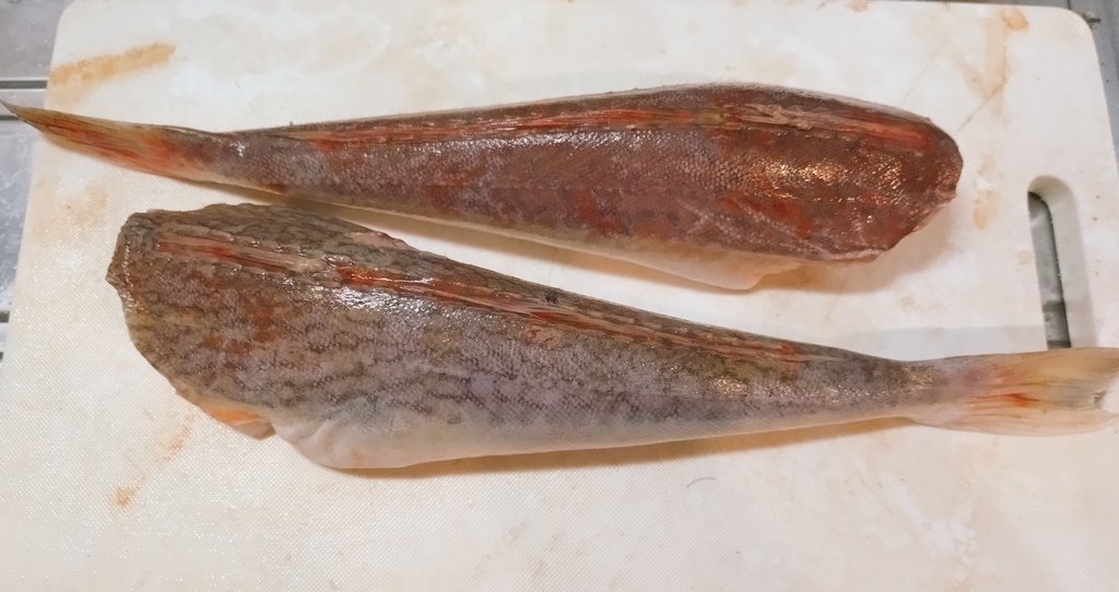 職場でホウボウを貰った 