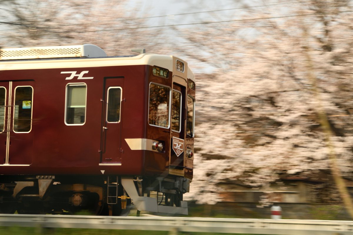 サロハユニセフ tweet media