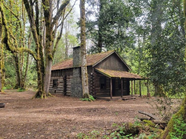 orangejinxy tweet media