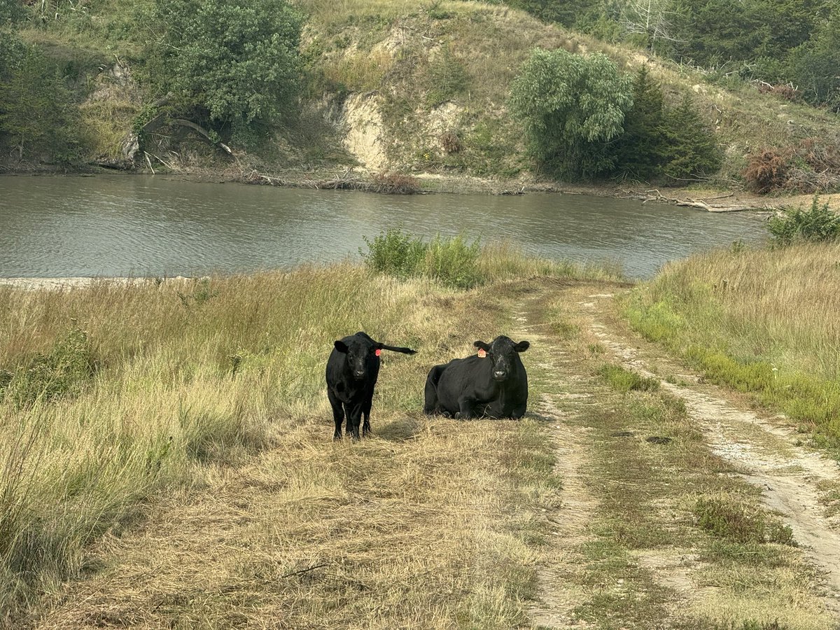 Cale Carlson tweet media