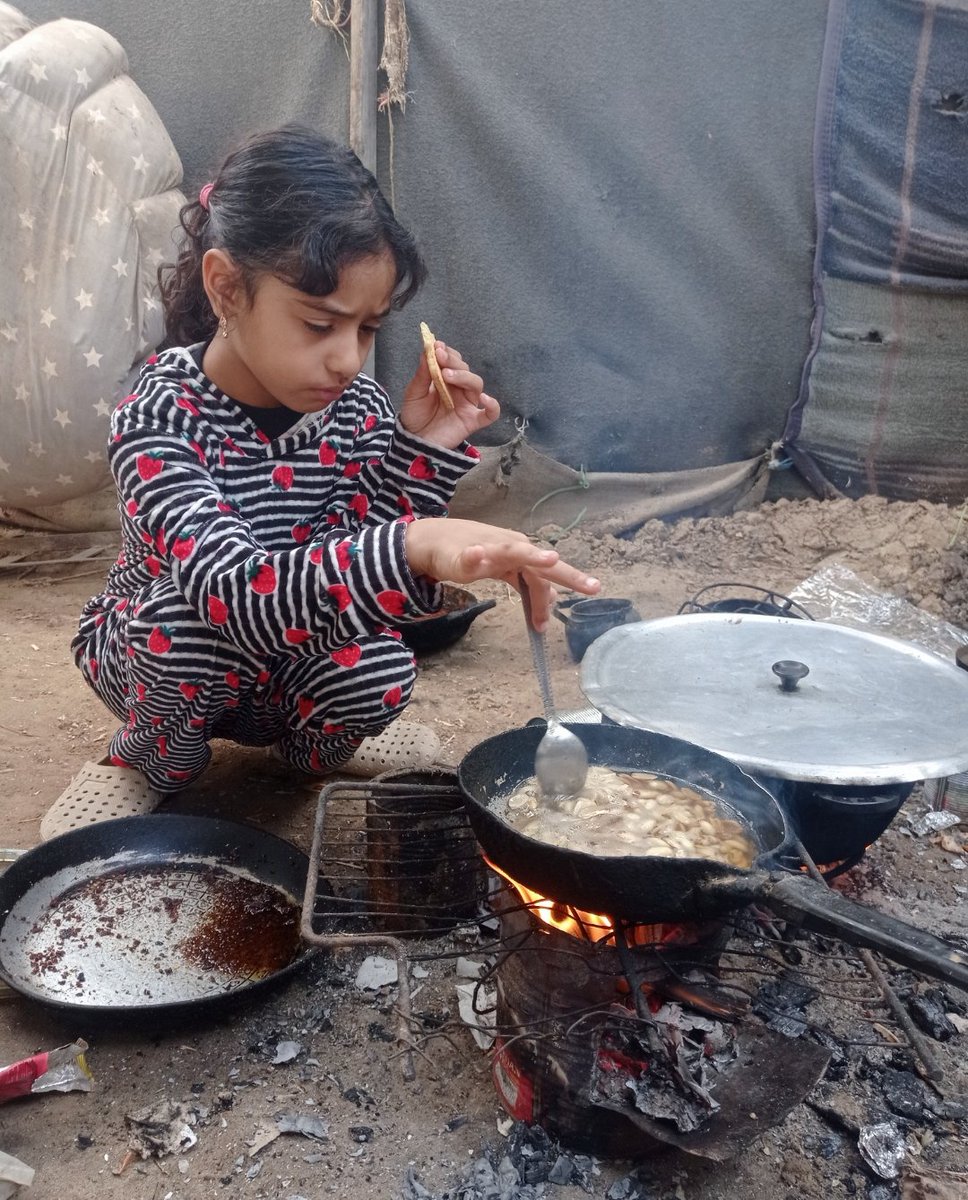 ENG.MOHAMMED FROM GAZA 🇵🇸🍉 tweet media