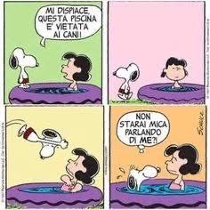 anna maria moscarell tweet media