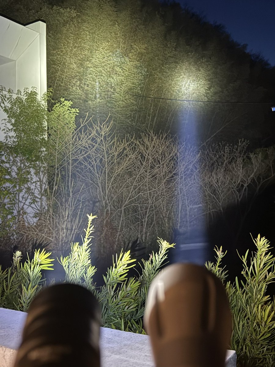 とーーる tweet media