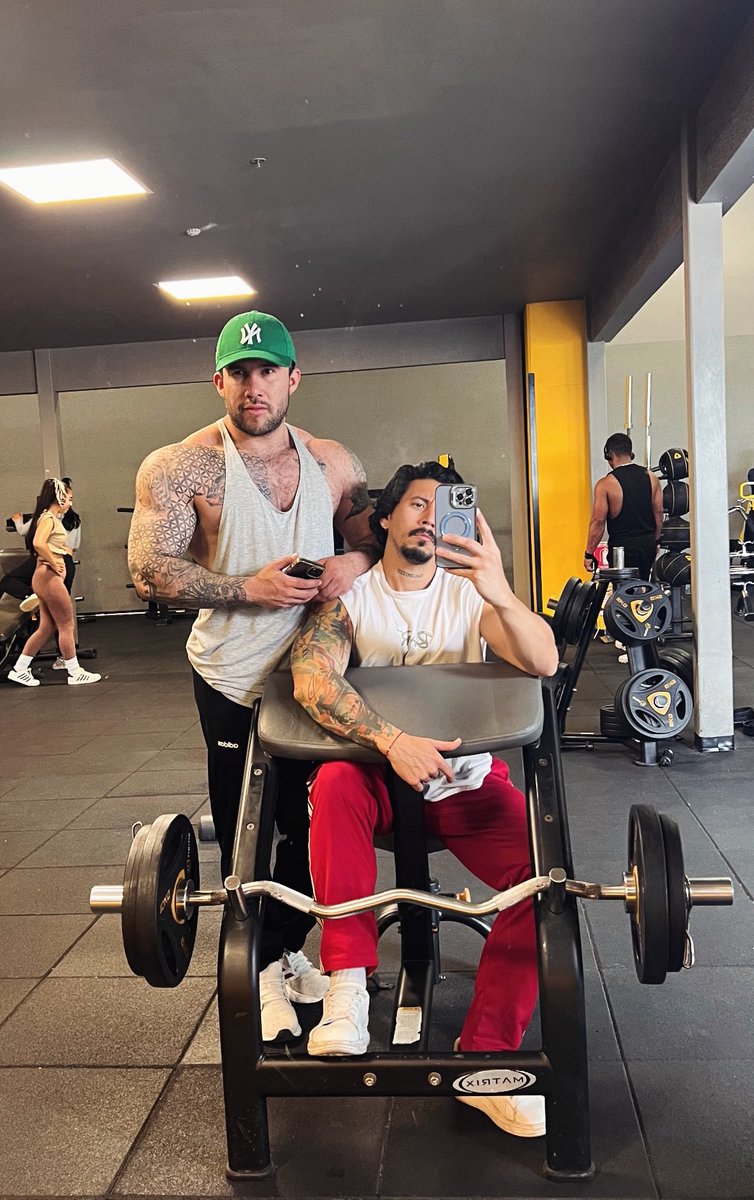 JoseMeirelesr tweet media