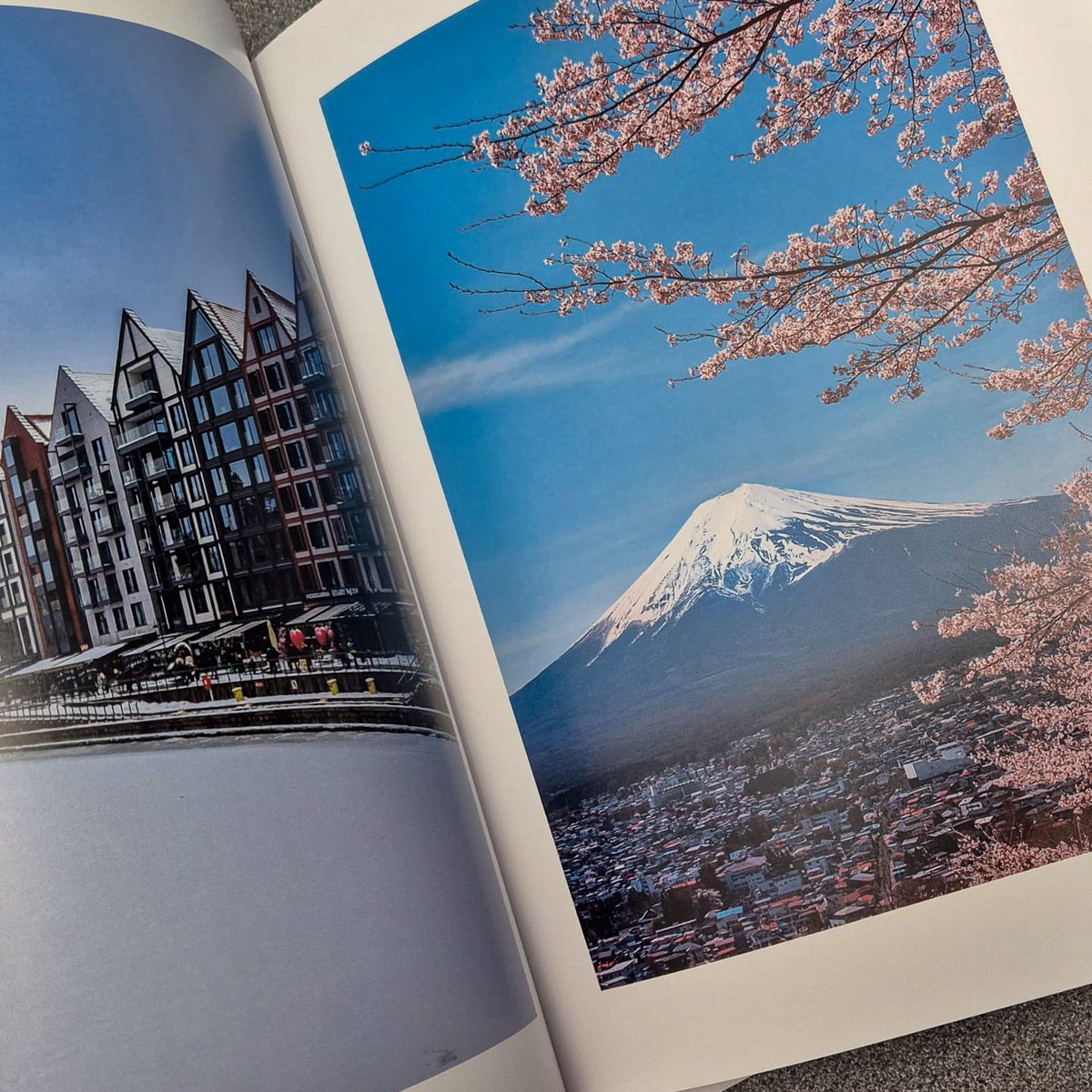 Antonela Pounder tweet media