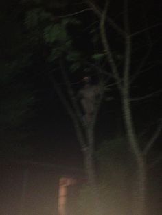 jin (金) tweet media