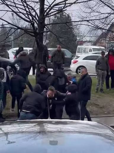 Peđa Mitrović tweet media