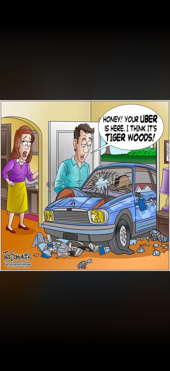 Primrose tweet media