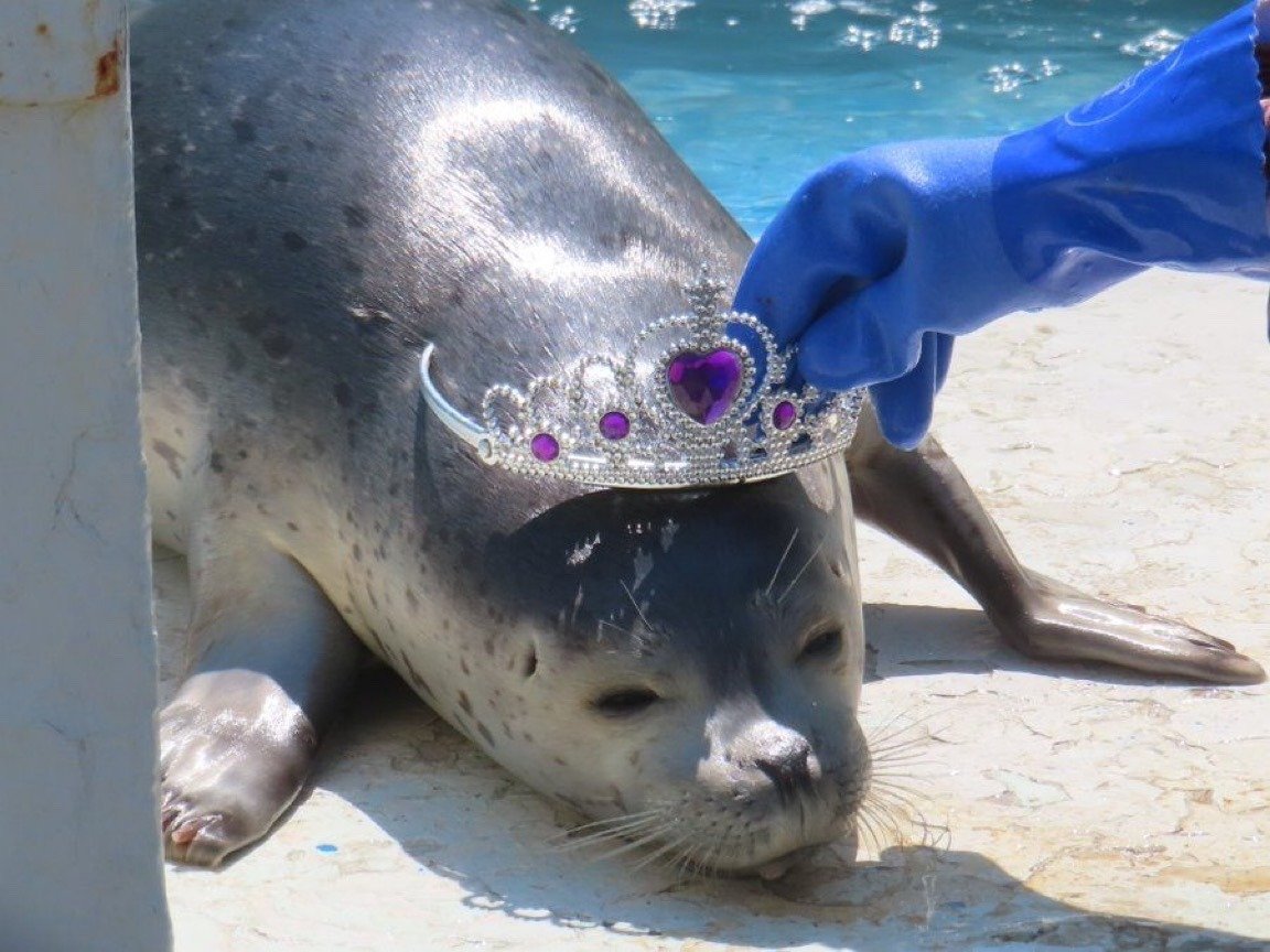 ᛪ༙⚙️ tweet media