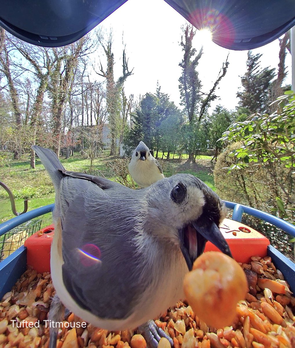 luxurious rare tweet media