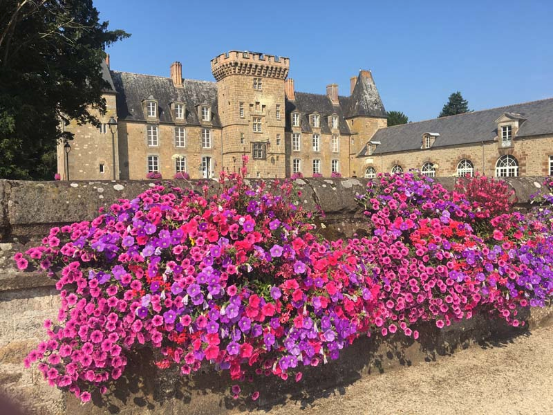 Baillard Thérese tweet media