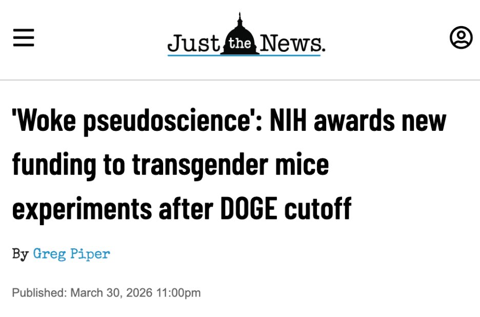 Laura Loomer tweet media