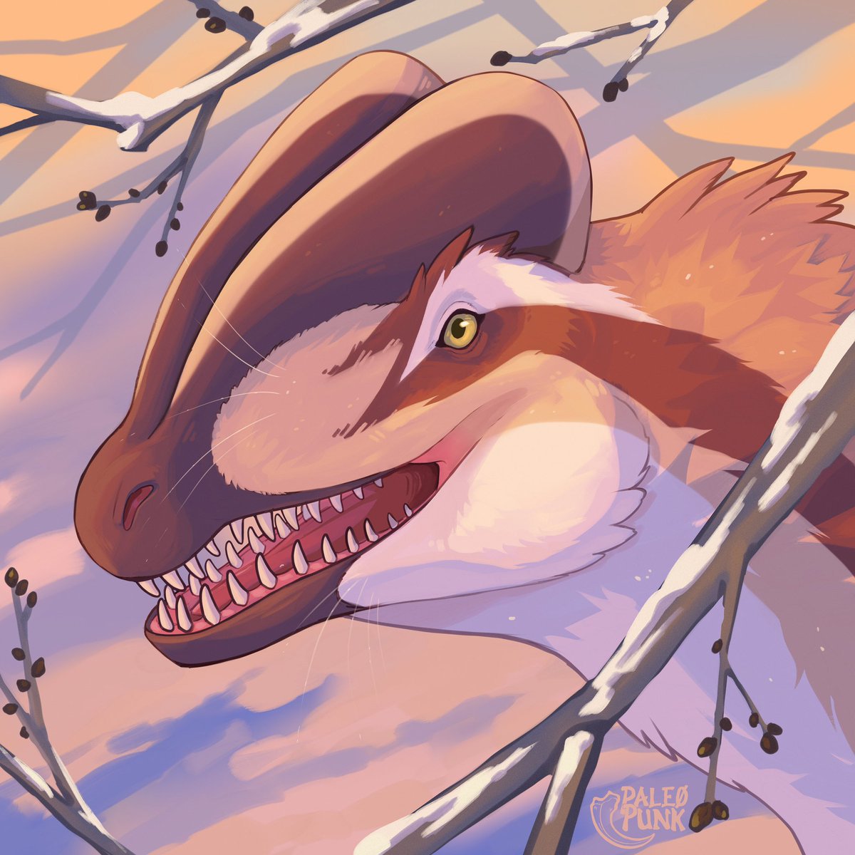 Sauren 🦖 tweet media