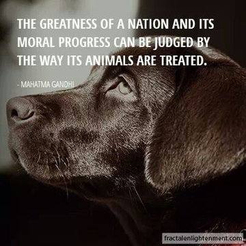 Nabootique tweet media