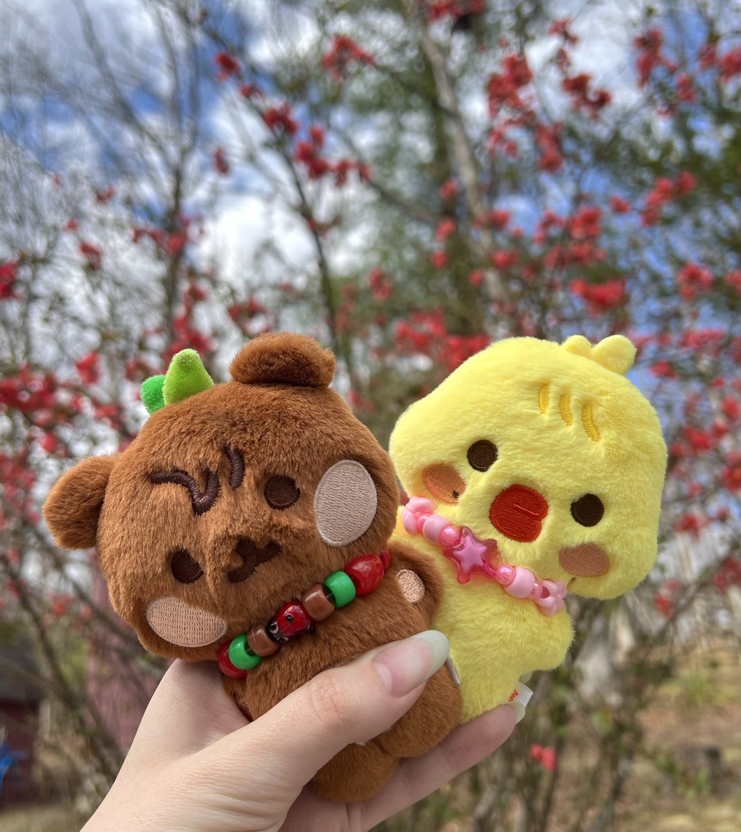 mako! 🦈🏴‍☠️ tweet media