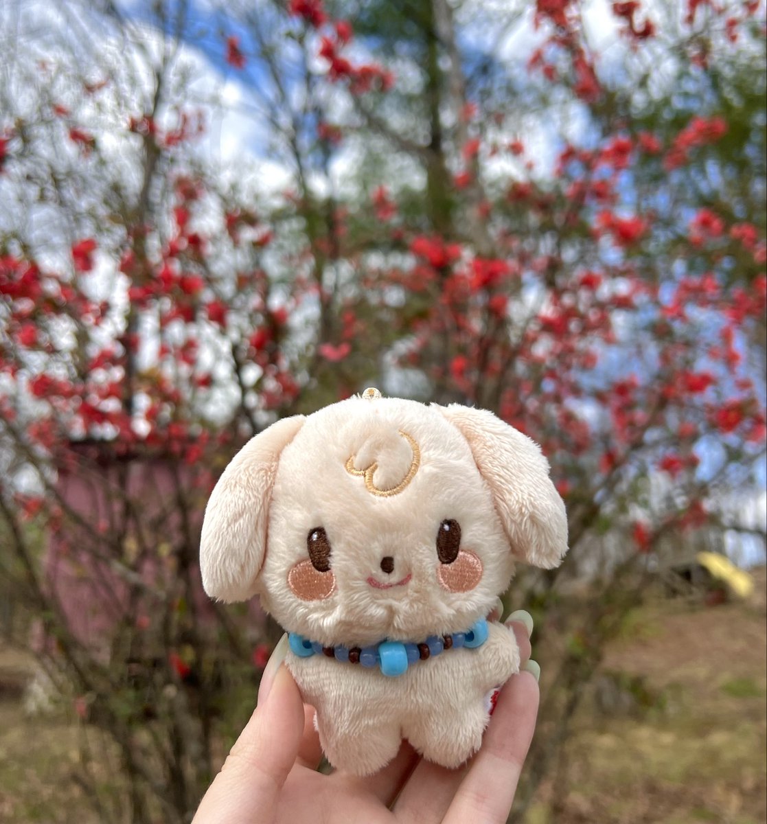 mako! 🦈🏴‍☠️ tweet media