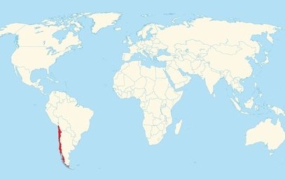 Megamentiras ⚪ tweet media