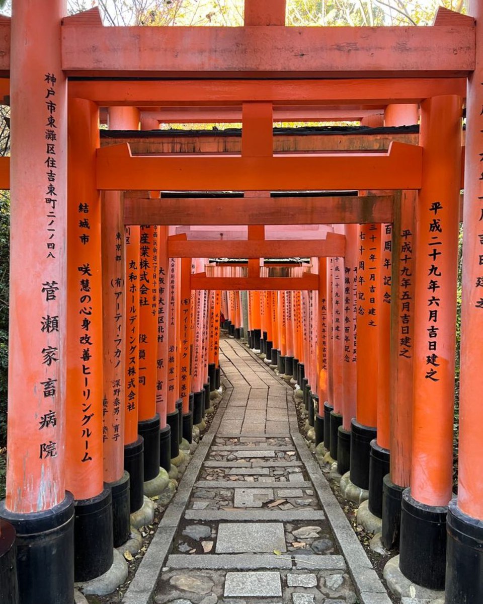 WanderingEarl's tweet image. They’re also very fun and great value.

Need a few solid recommendations? Want us to handle everything so you just need to show up and enjoy it all?

If you’ve got a trip in mind, just let me know and see what we can do!

#Travel #Tours #SmallGroup #WanderingEarl