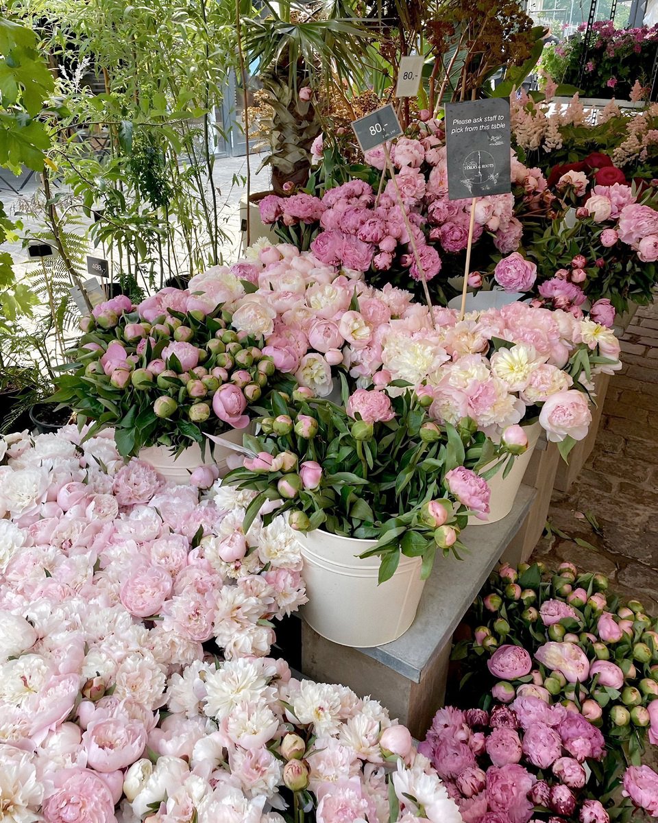 •☆• tweet media