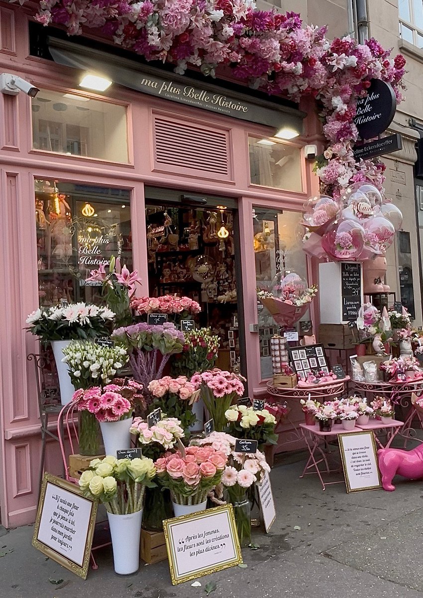 •☆• tweet media