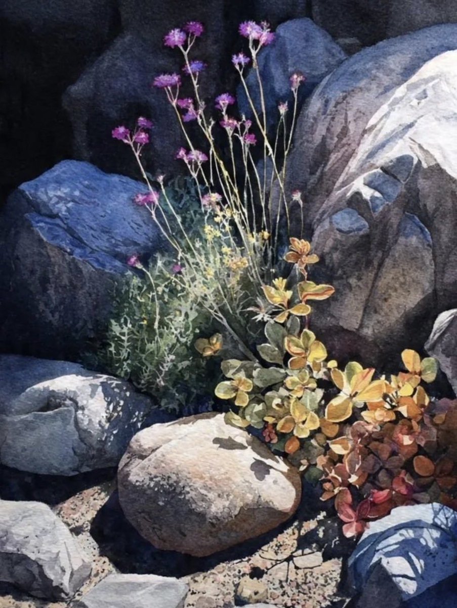 Coleen Guzman tweet media