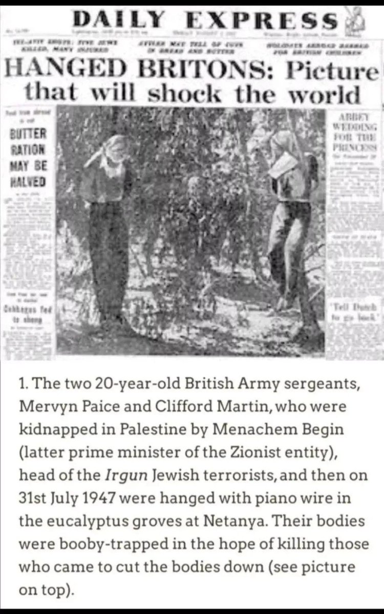 MJ 🇵🇸 🇺🇦 tweet media