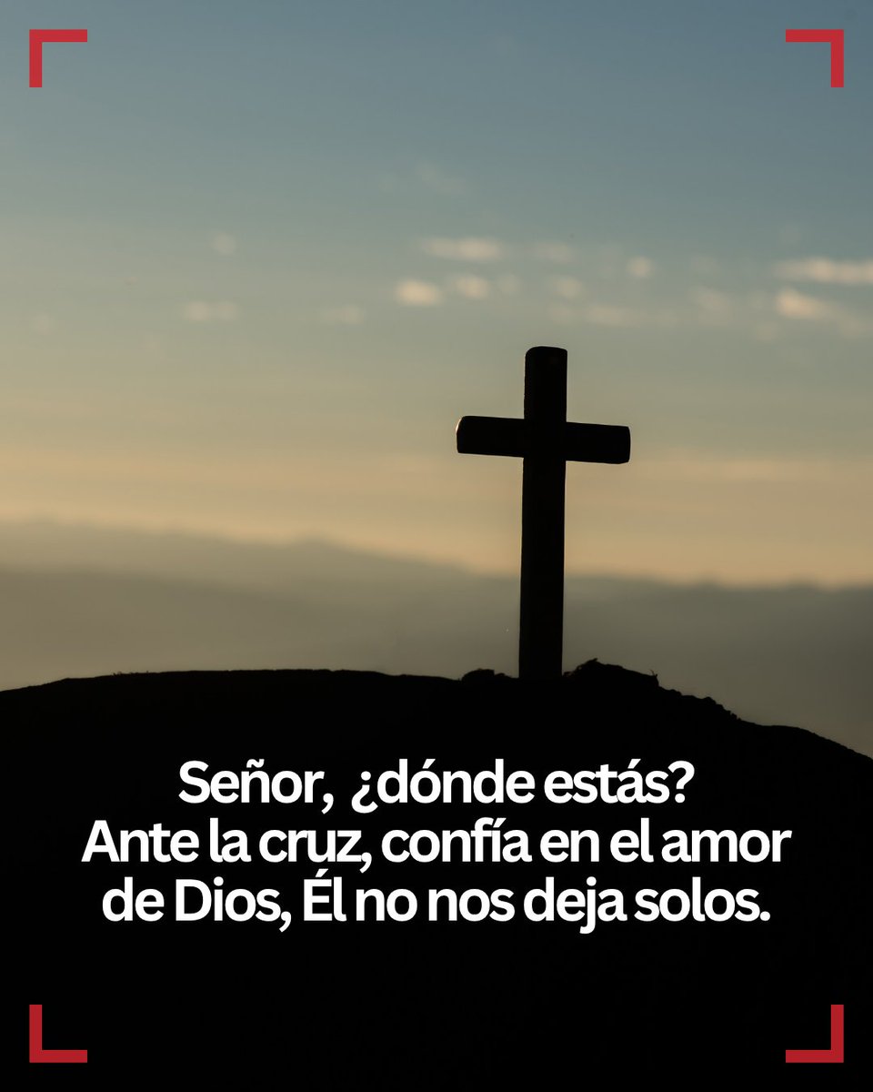 Cáritas Española ✳️ tweet media