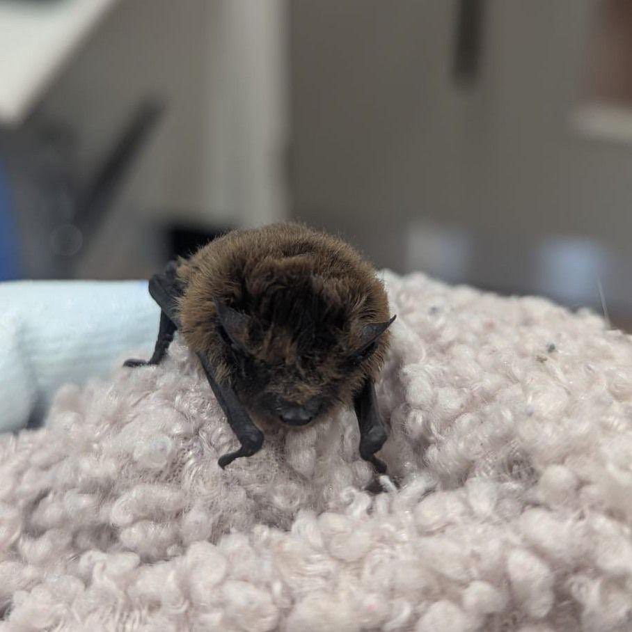 Martin 0.07xG Smith tweet media