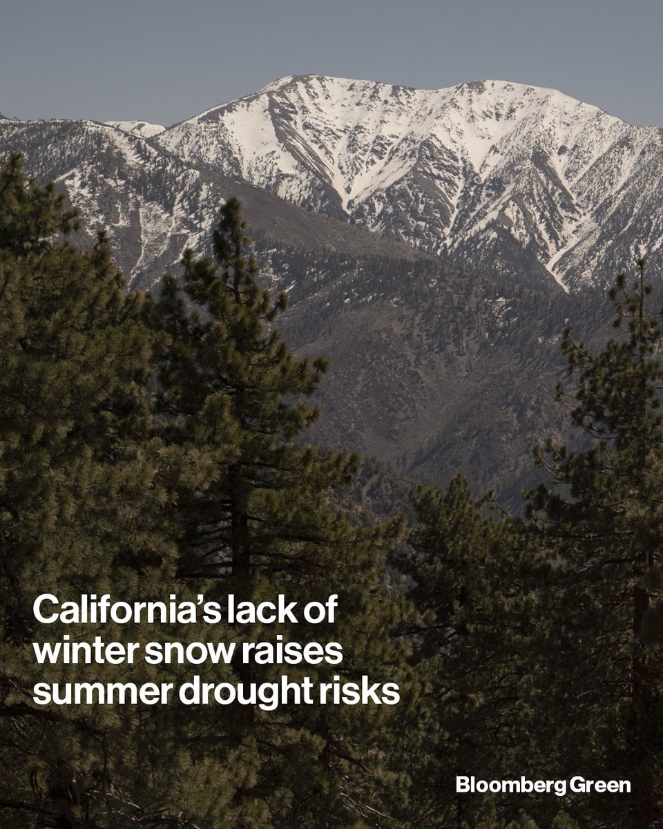 Bloomberg Green tweet media