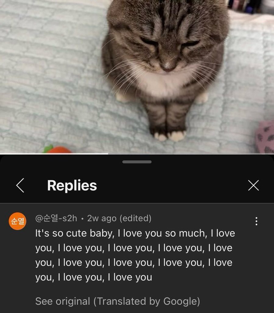 brainrot dimension tweet media