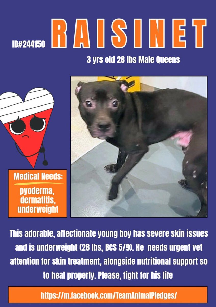 Wynjym ChrisNP 🇨🇦 tweet media