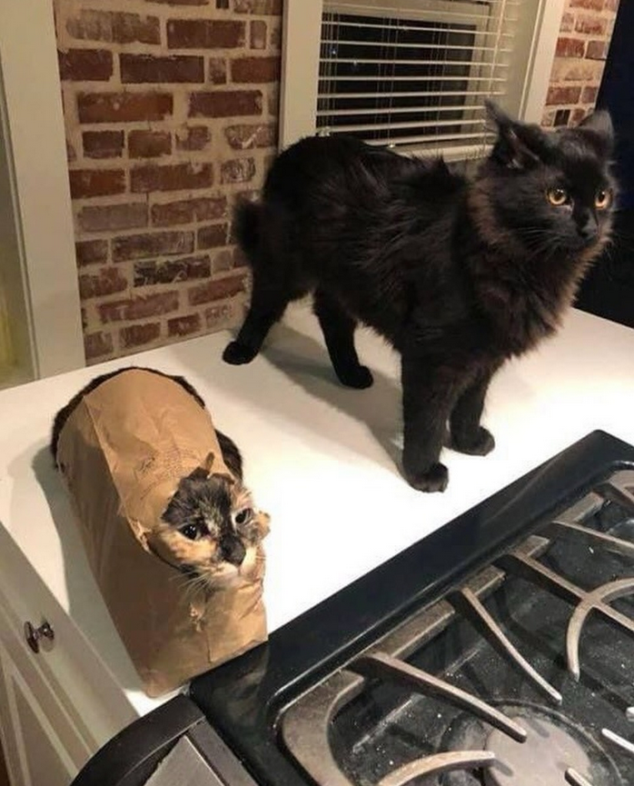 i drink soup tweet media