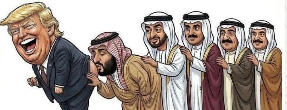 Halil Çopur tweet media