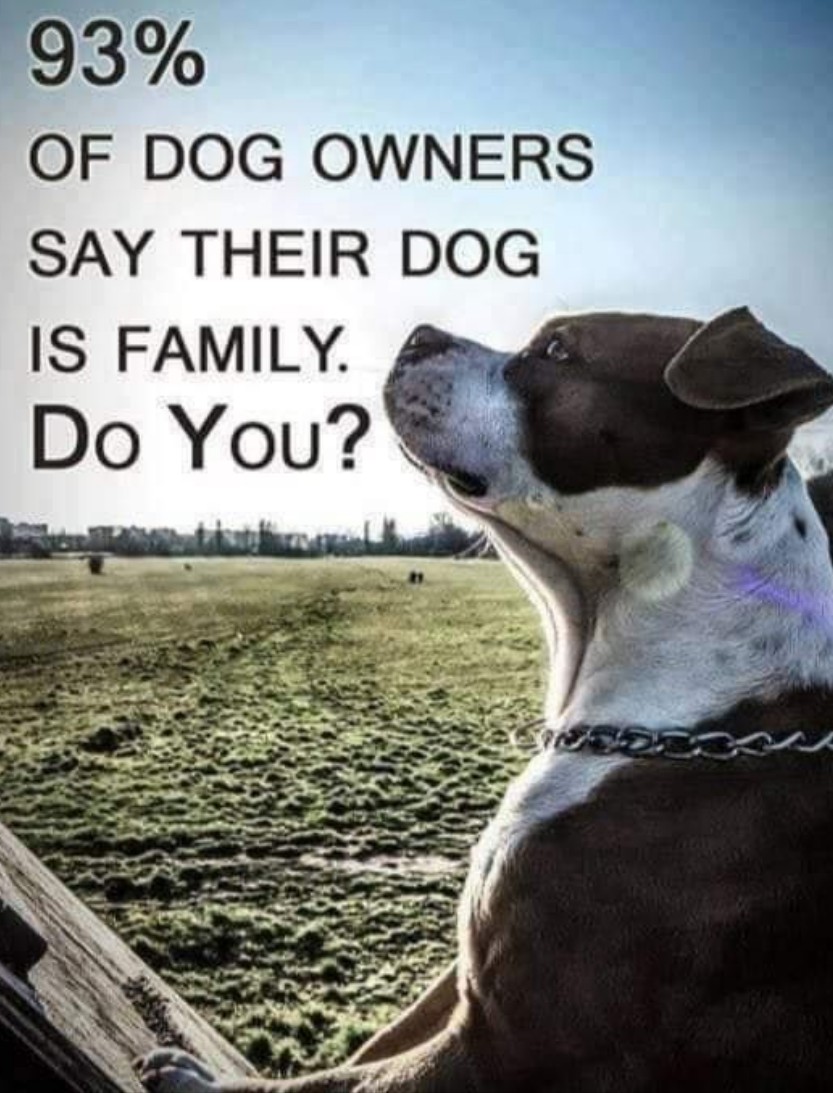 The Four Hearts tweet media