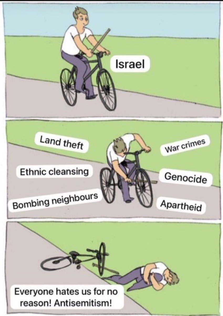 Guy Maleman tweet media