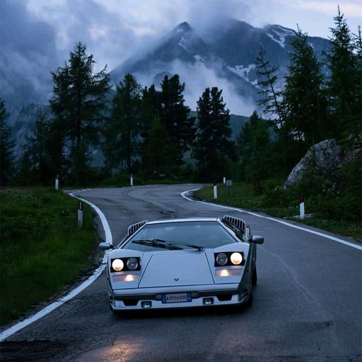 Belles Italiennes tweet media