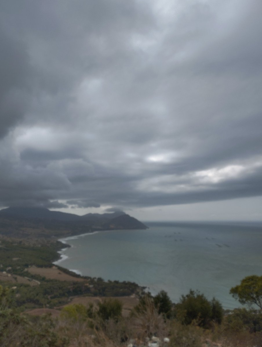 Algerian_502's tweet image. #Dz 🇩🇿