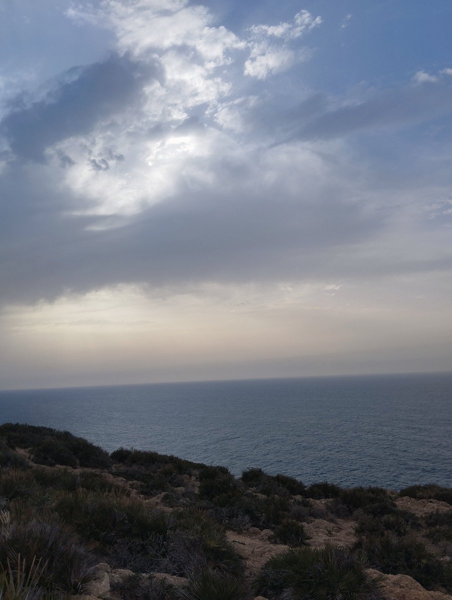 Algerian_502's tweet image. #Dz 🇩🇿