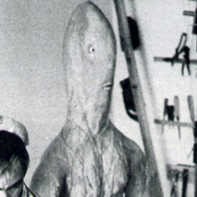 orgasmo total tweet media