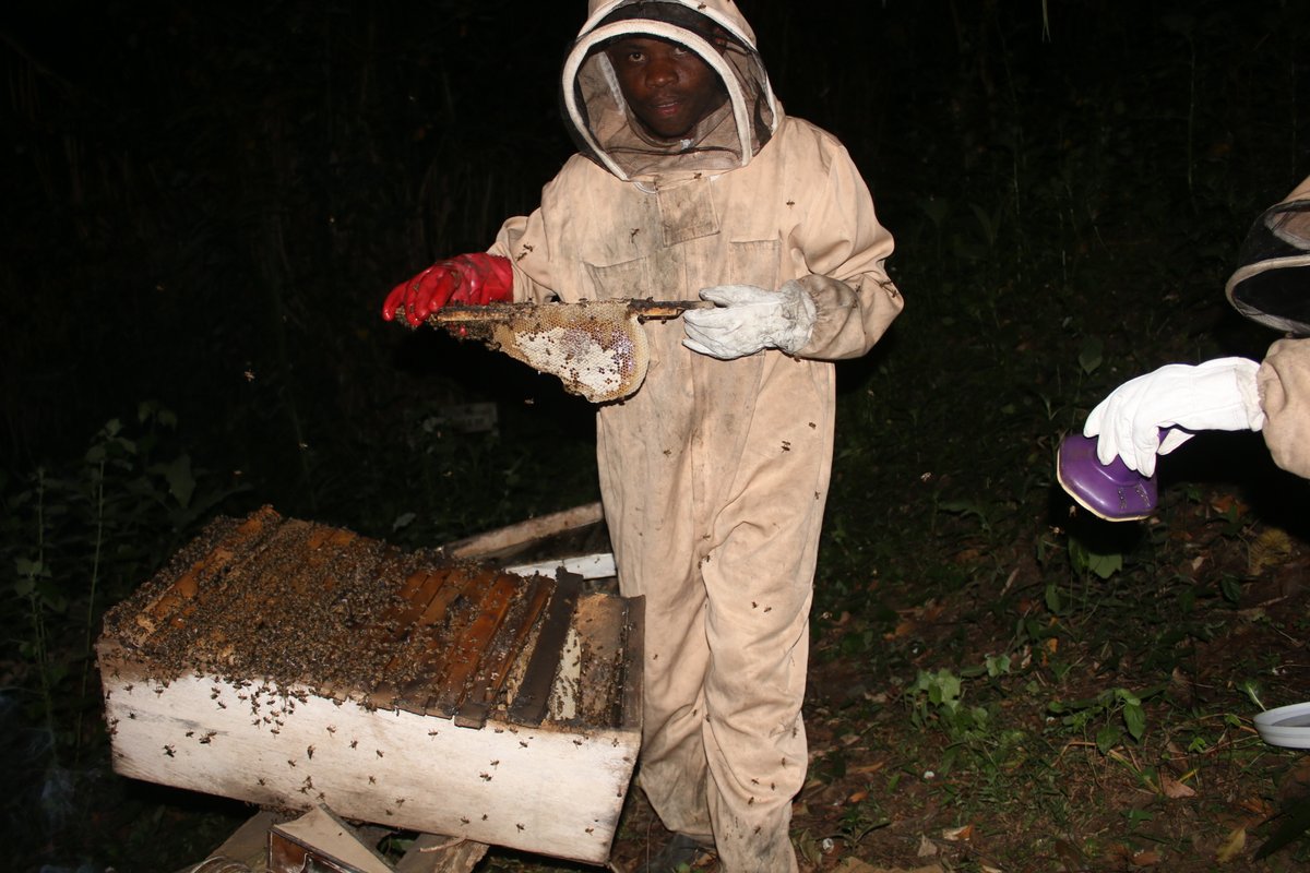 BulhalhoFounda1's tweet photo. Post Harvesting Handling @SBIncubatorUG @WitneyBees @ThorneBeehives @BeesAbroad https://t.co/RaILPfWFt9