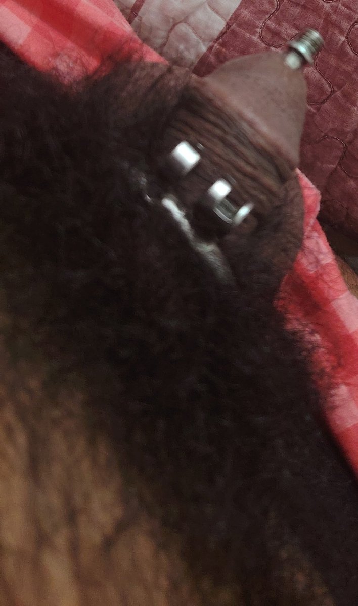 castidad_forzada_pty (LameCulo) tweet media