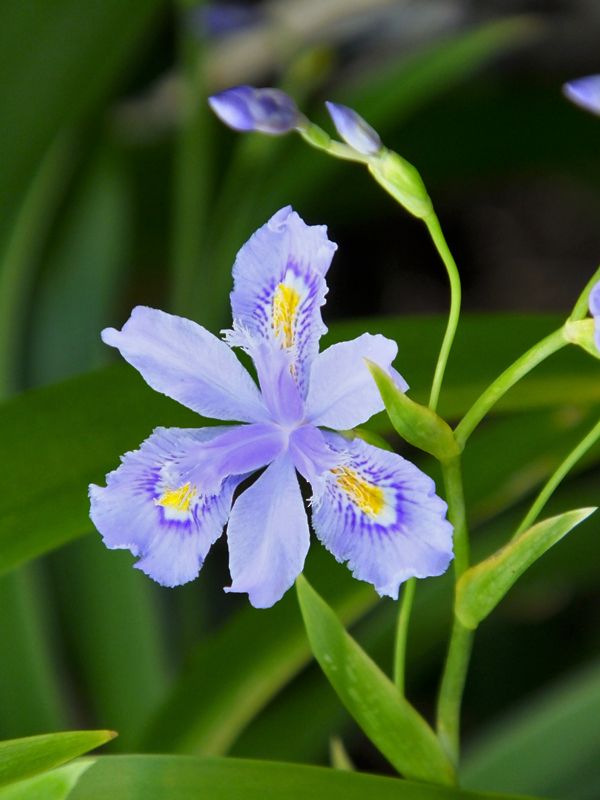 صمتي حكاية tweet media