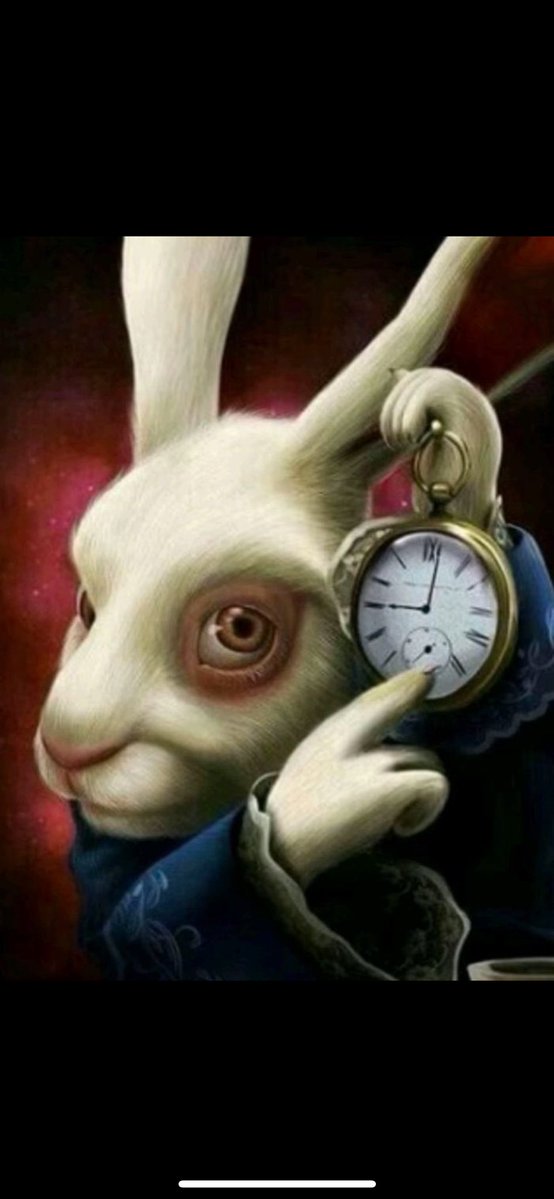 Taylen.shib tweet media