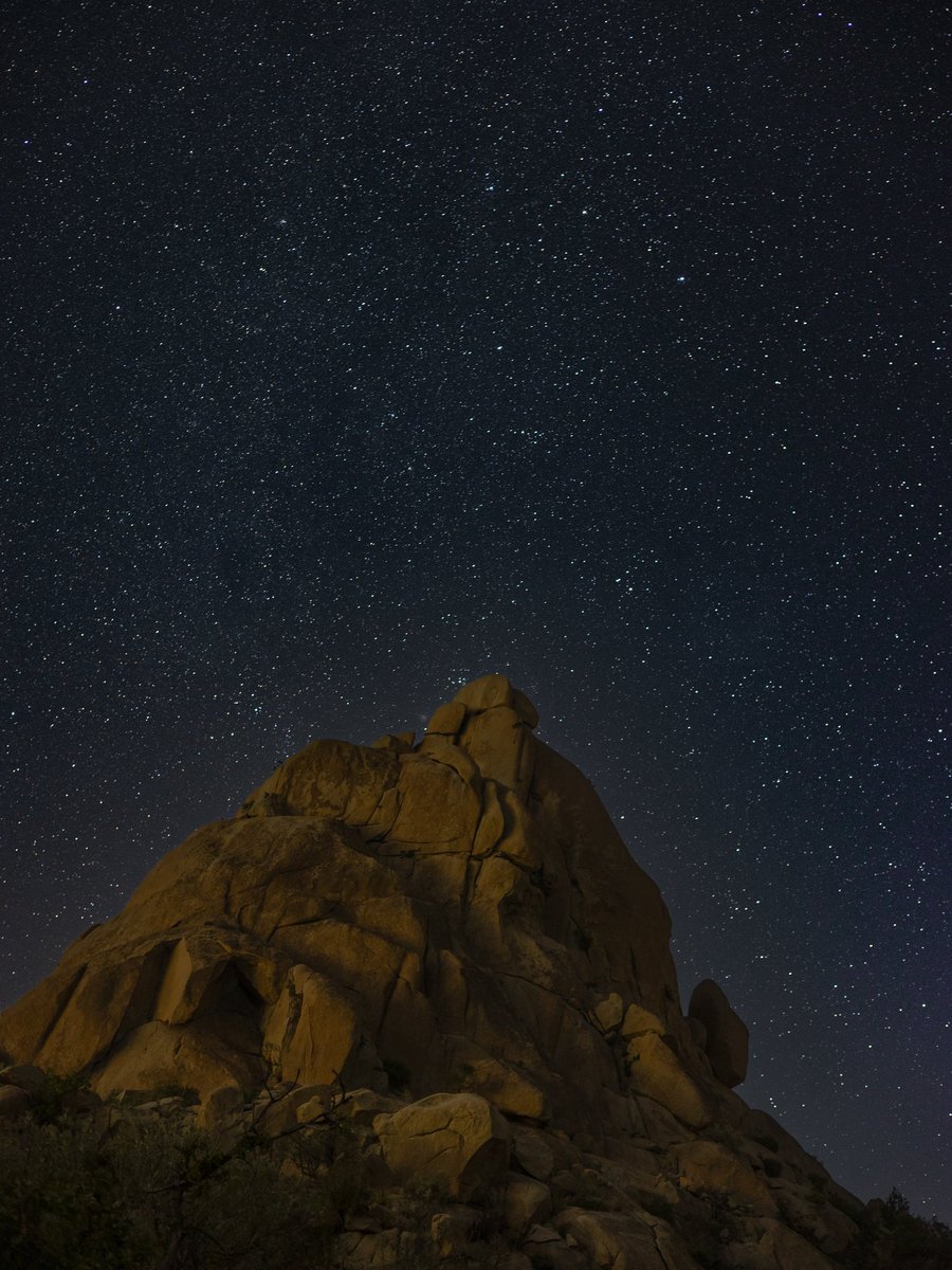 Mohammed tweet media