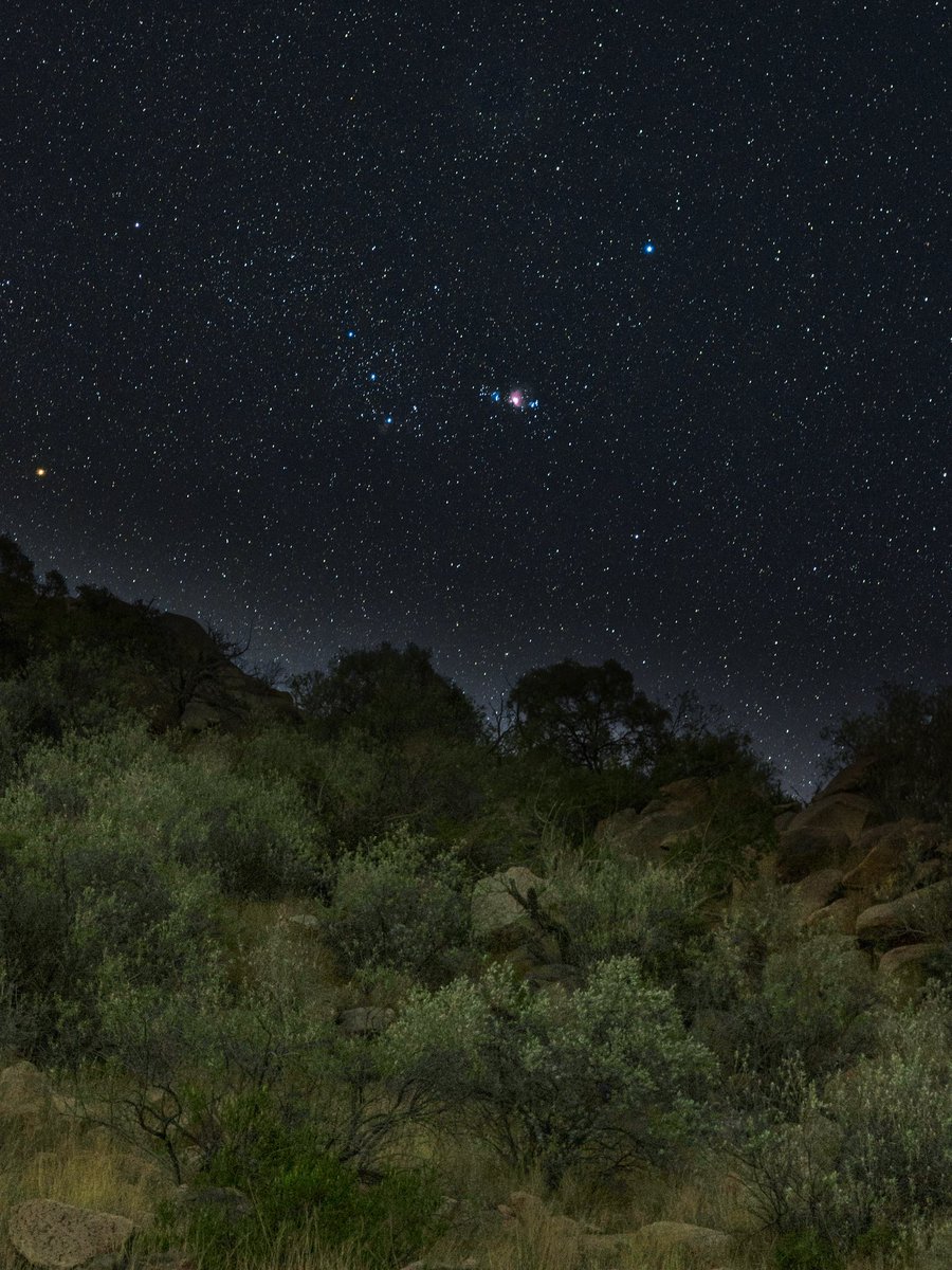 Mohammed tweet media