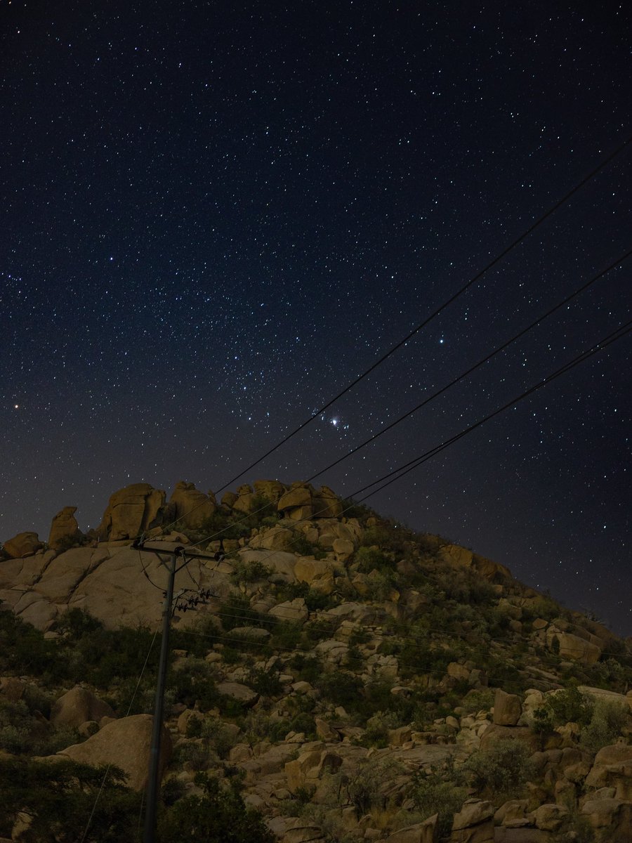 Mohammed tweet media