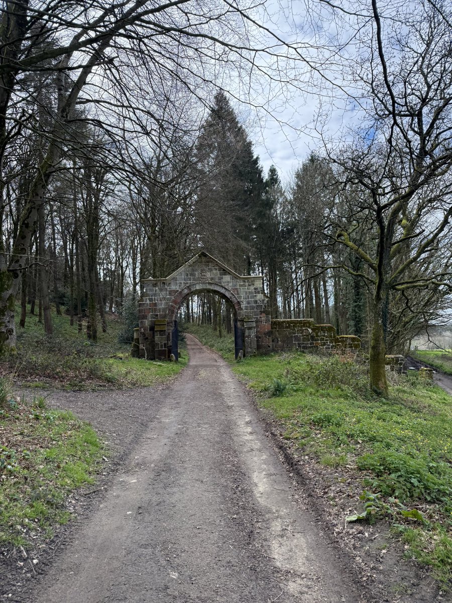 Toby Knight tweet media